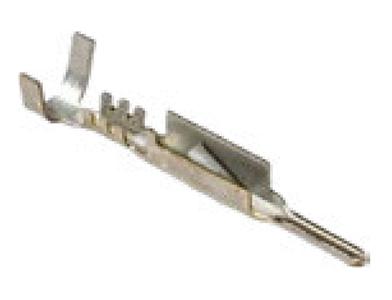 Terminal Macho Delphi